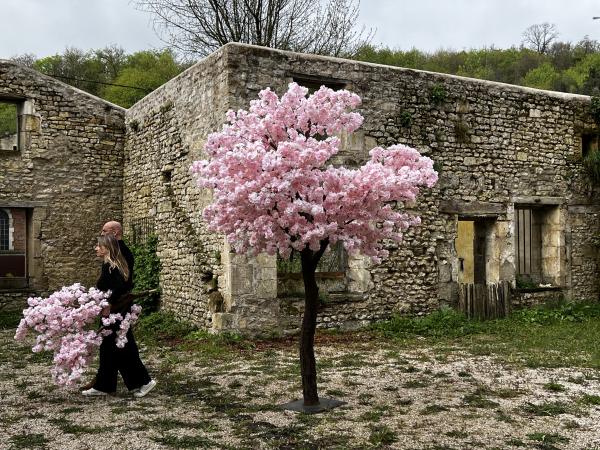 R.I.P. Cerisaie - création 2024