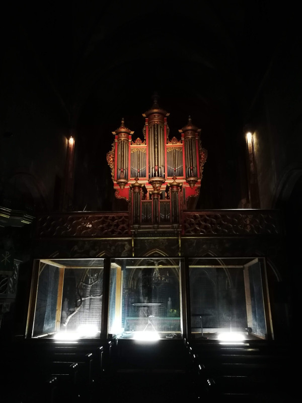 Chants d'oiseaux, Eglise St Pierre Le Jeune, Strass'Orgues