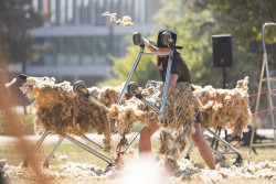 IL PLEUT BERGÈRES - juin. 23-sortie de résidence forme extérieure - Festival Demostratif-
