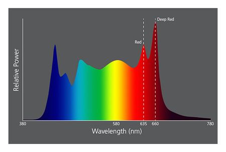 © 2023 ETCDistribution spectrale du projecteur ETC S4 Lustr3 "multicolore".